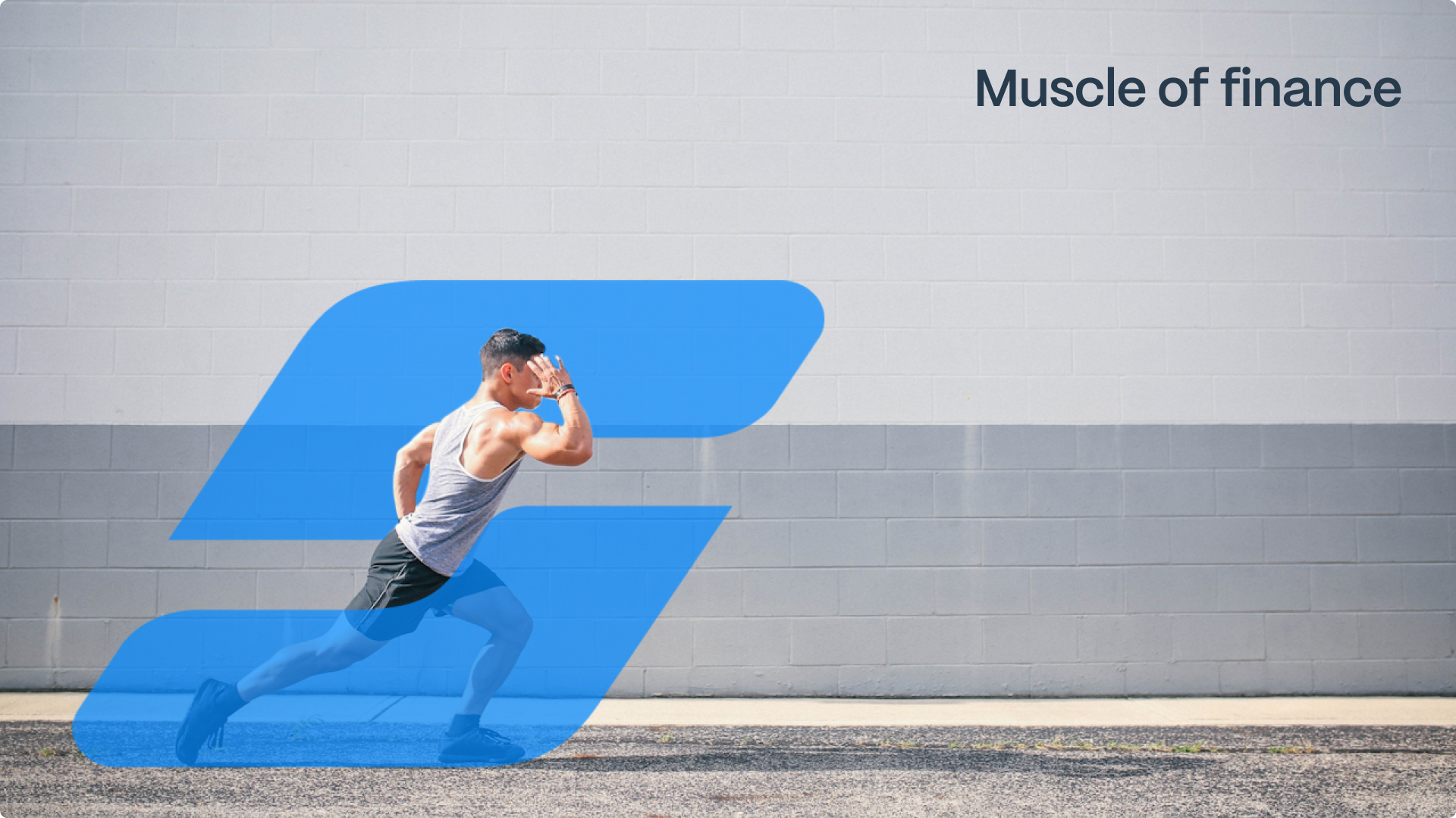 Muscle of finance